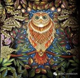 秘密花园在线观看,揭秘秘密花园在线观看之旅 第2张 秘密花园在线观看,揭秘秘密花园在线观看之旅 第2张