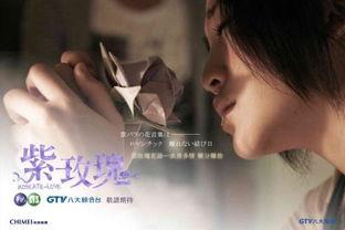 紫玫瑰电视剧在线观看,浪漫邂逅,情感纠葛 第2张 紫玫瑰电视剧在线观看,浪漫邂逅,情感纠葛 第2张